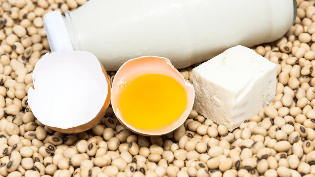 Discover the 8 Best Protein Sources on a Plant-Based Diet